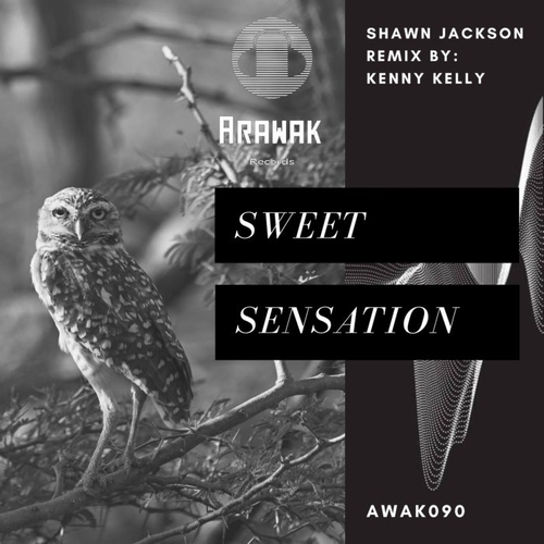Shawn Jackson - Sweet Sensation [AWAK090]